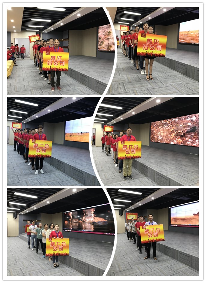 博瑞整装馆新馆试营业启动大会圆满落幕
