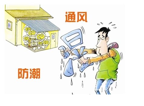 梅雨季装修
